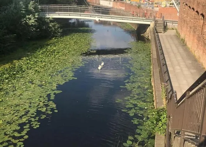 Chocolets - The Quality Апартаменты